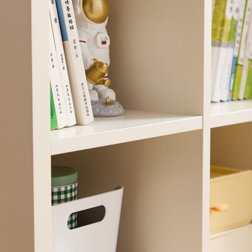 Linspire Paragon Kids Bookshelf