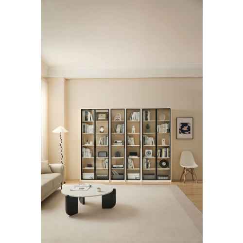 Linspire Ventus Bookcase with Glass Door, Large, White & Black