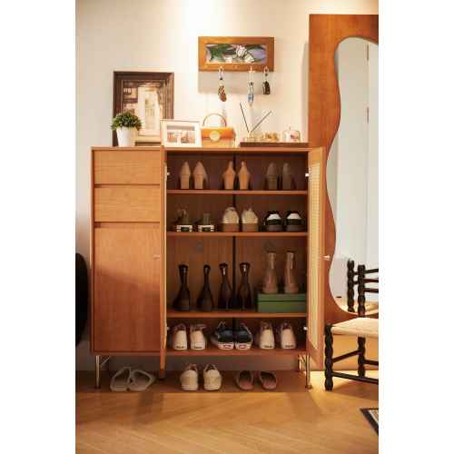 Linspire Verve Shoe Cabinet