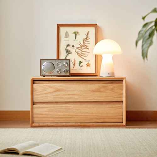 Linspire Lumis Solid Wood 2 Drawers Module