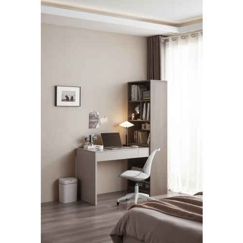 Linspire Rena Desk with Bookcase, Ash & Cool White