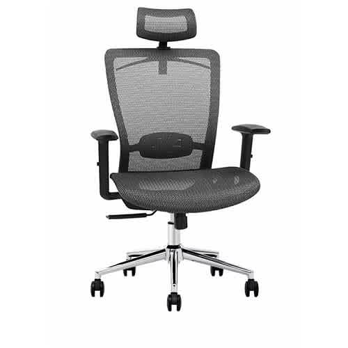 Loctek YZ101 Ergonomic Office Chair, Black