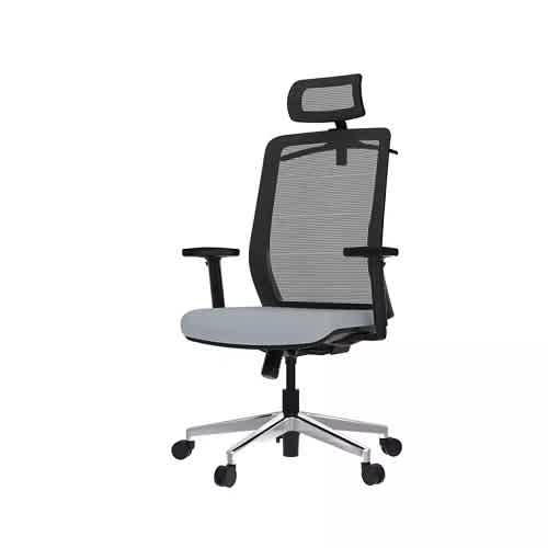 Loctek YZ202 Ergonomic Office Chair, Black