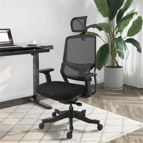 Loctek YZ502 Ergonomic Office Chair, Black