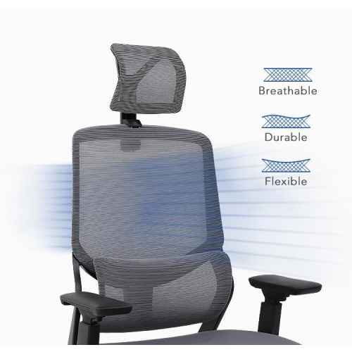 Loctek YZ502 Ergonomic Office Chair, Black