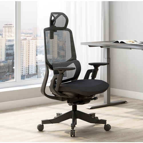 Loctek YZ502 Ergonomic Office Chair, Black