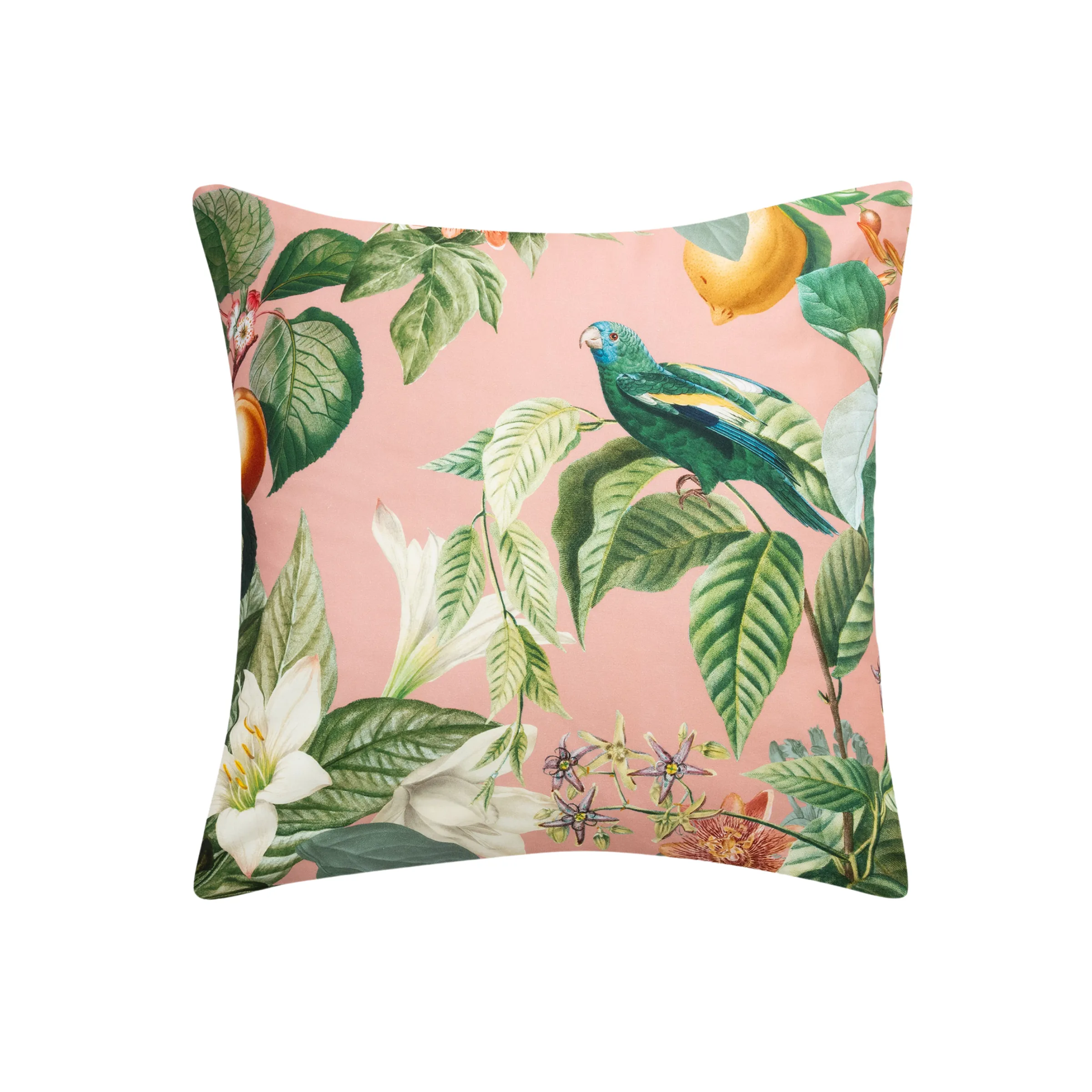 SAVONA Amalfi European Pillowcase, Vanilla