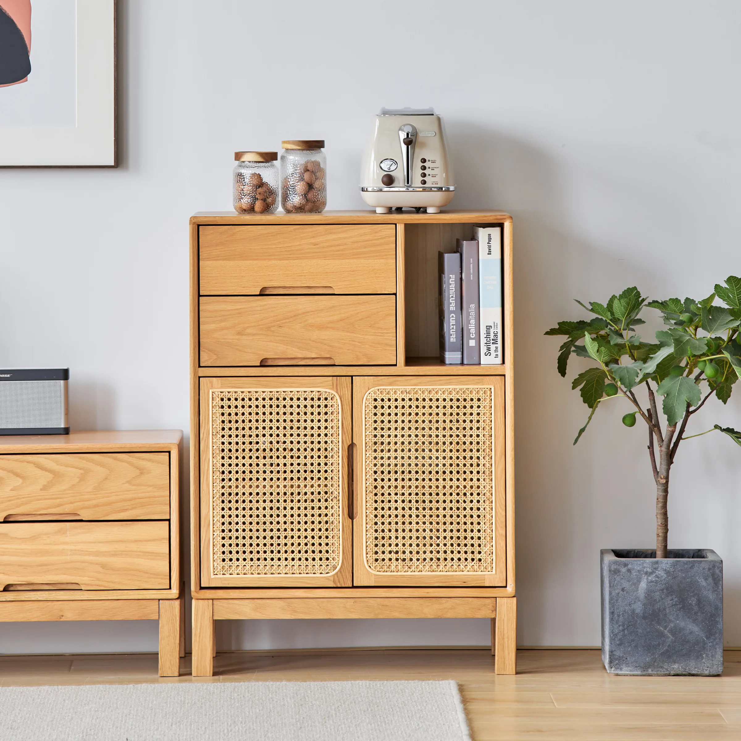 Solidwood Calamo Storage Cabinet with Rattan Doors