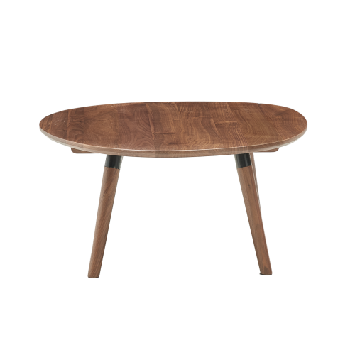 Solidwood Zephyr Walnut Coffee Table