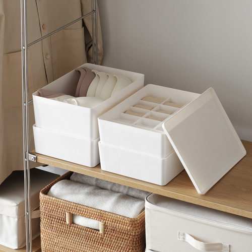 ZenLife Brook Underwear Storage Box, 15 Grid, White, 30x23x9cm