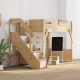 Boori Treehouse Kids King Single Loft Bed + Storage Staircase, Beech