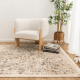 DreamWeaver Odyssey Vintage Rug, Beige Muti, 240x330cm