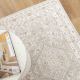DreamWeaver Trend Medallion Transitional Rug, Beige Multi, 240x330cm
