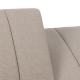 Hjem Design Caix Sofa Bed, Sand