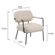 Hjem Design Dylan Lounge Chair