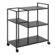 Hjem Design Newark Serving Trolley