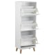 Hjem Design Mitra Shoe Cabinet