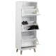 Hjem Design Mitra Shoe Cabinet