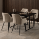 Hjem Design Lizzy Dining Chair, Set of 2