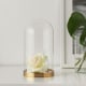 IKEA BEGAVNING Glass Dome With Base, Height 26cm