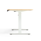 Linspire Ascend 2PCS Standing Desk Set, 120cm, Natural