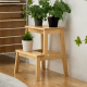 Linspire Juniper Solid Wood Step Stool