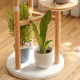 Linspire Grow Plant Stand, Natural & White