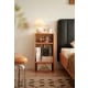 Linspire Verve Shelf Module