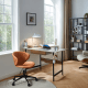 Linspire Odyssey Office Desk