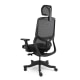 Loctek YZ502 Ergonomic Office Chair, Black