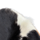 Hans Wegner Shell Chair CH07 Replica, Cowhide