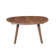 Solidwood Zephyr Walnut Coffee Table