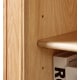 Solidwood Danya 2-Tier Storage Cabinet with Drawer