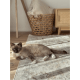 Wild Yarn Seasons Vintage Mauritius Rug, Beige, 200x290cm