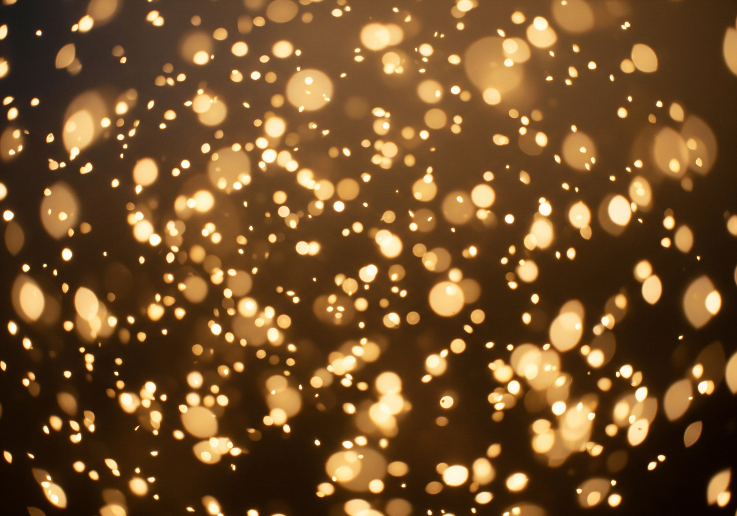 Glowing lights representing community prayers