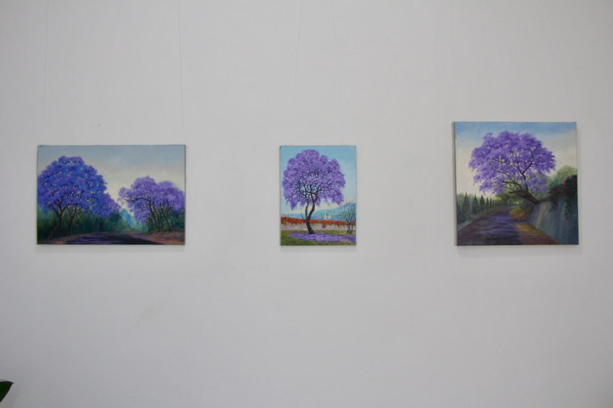 Jacaranda season