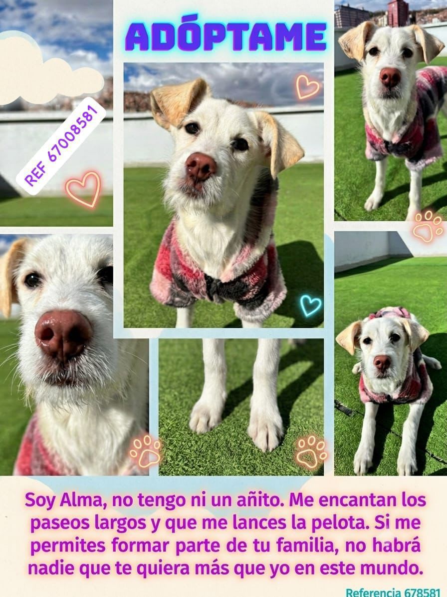Foto 3 de Alma