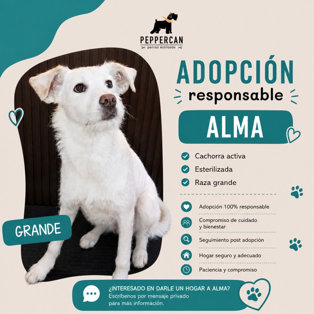 Foto de Alma