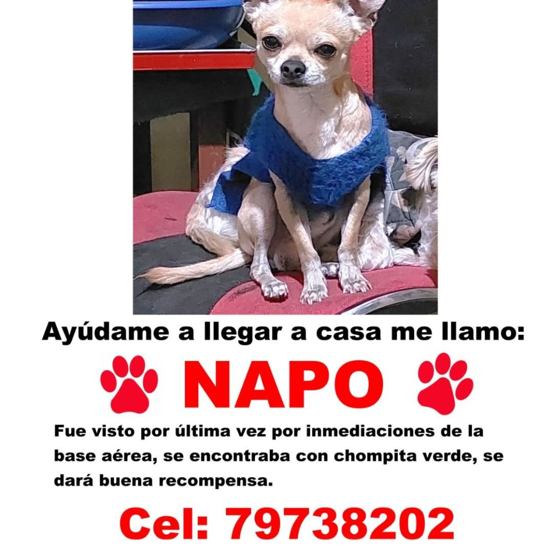 Foto de Napo