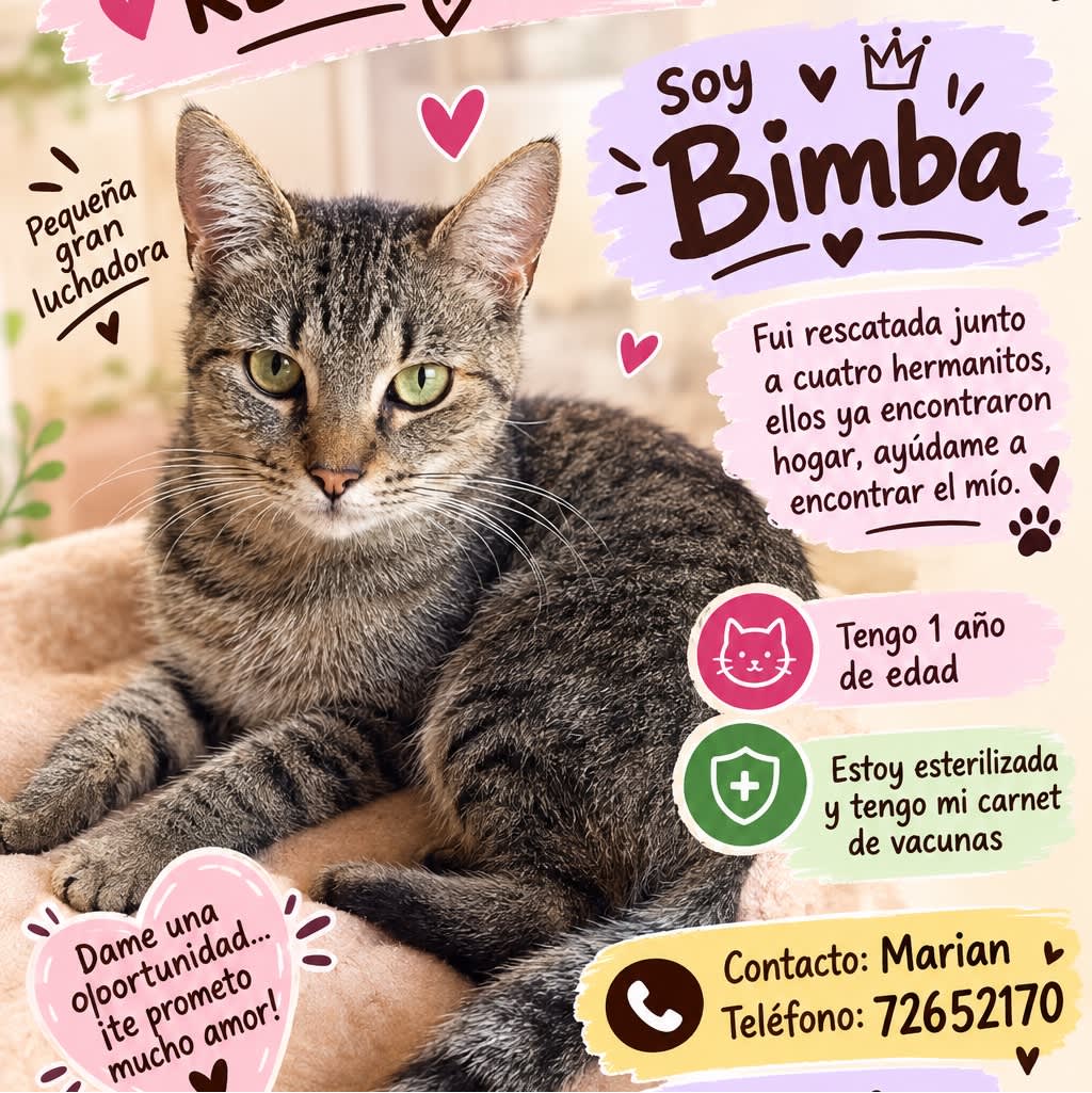 Foto de Bimba