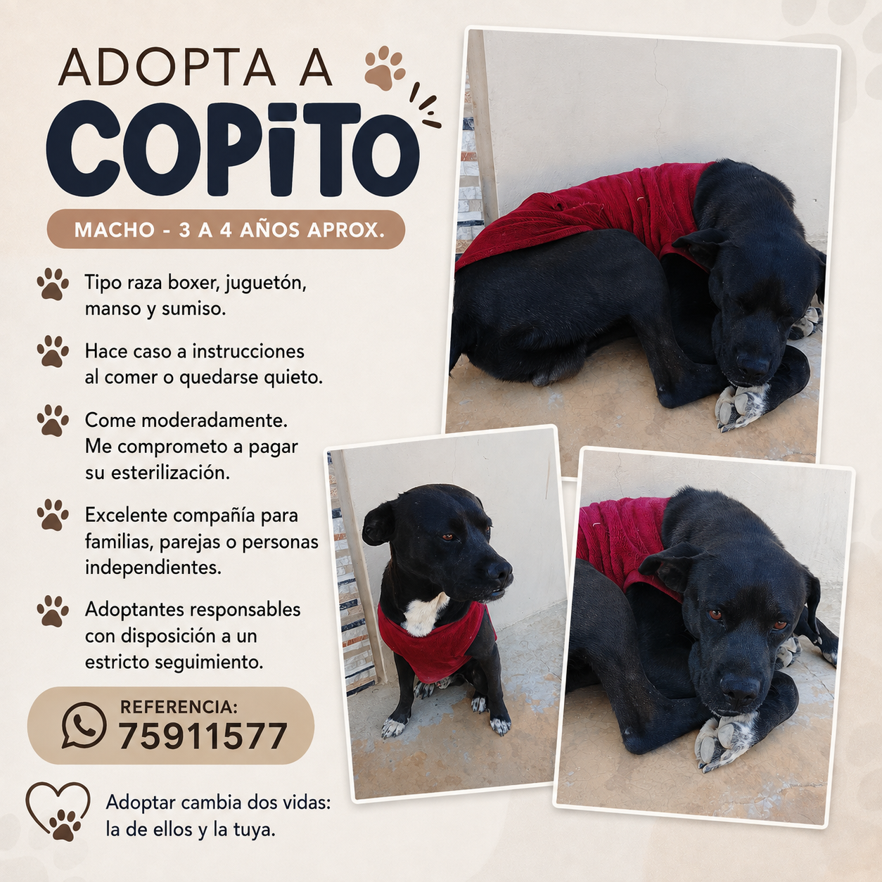 Foto de COPITO✨🖤