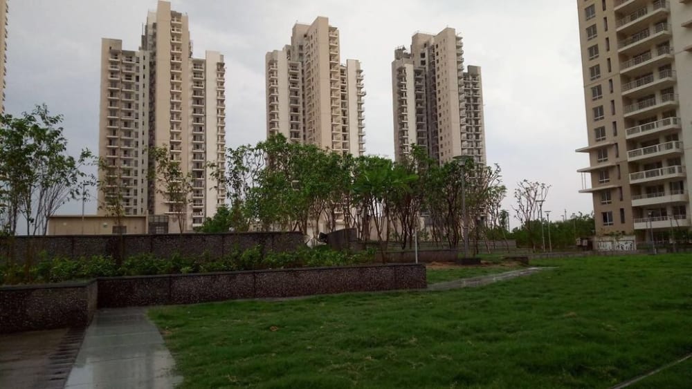 Property view