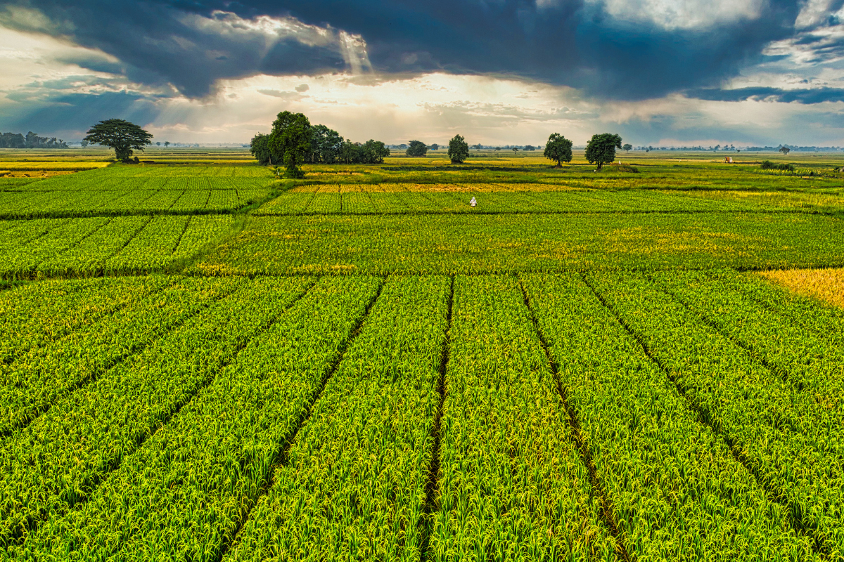 Agricultura Inteligente Harvis