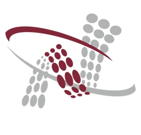 NetOne Information Technology Ltd