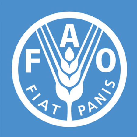 Food and Agriculture Organization of the United Nations (FAO)