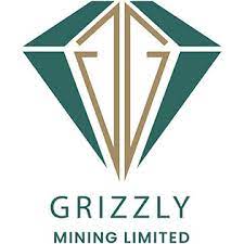 Grizzly Mining Limited