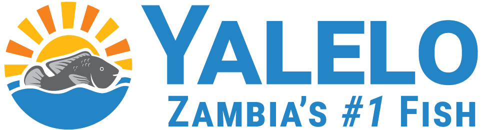 Yalelo Limited