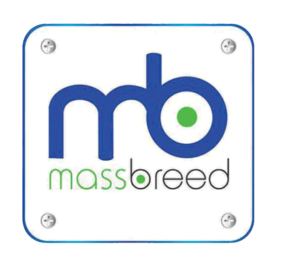 Massbreed Investment Zambia Ltd