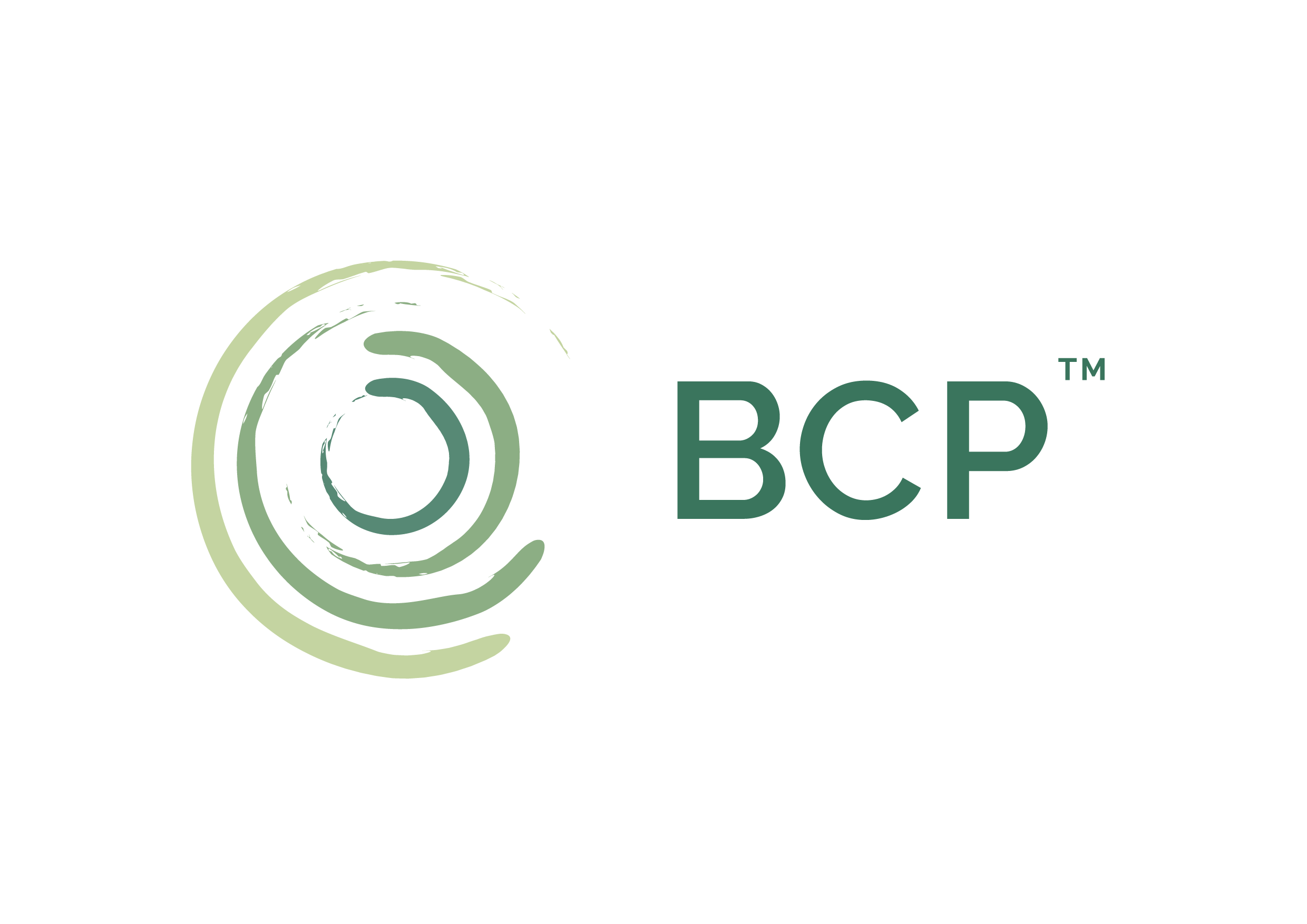 Biocarbon Partners Limited