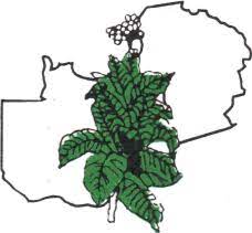 Tobacco Association of Zambia